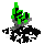 statinic