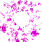 Antimalium